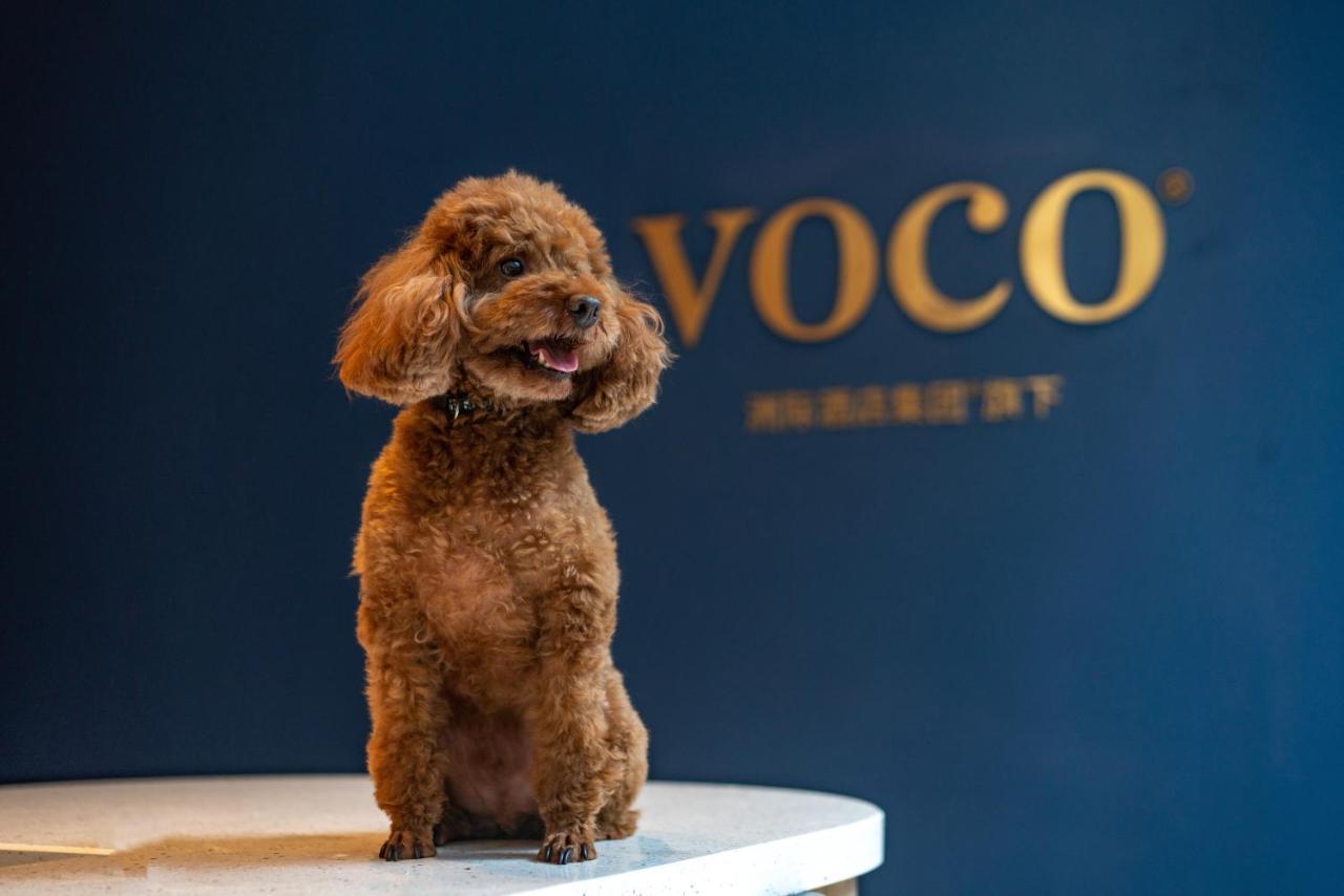 Voco Nanjing Garden Expo, An Ihg Hotel エクステリア 写真